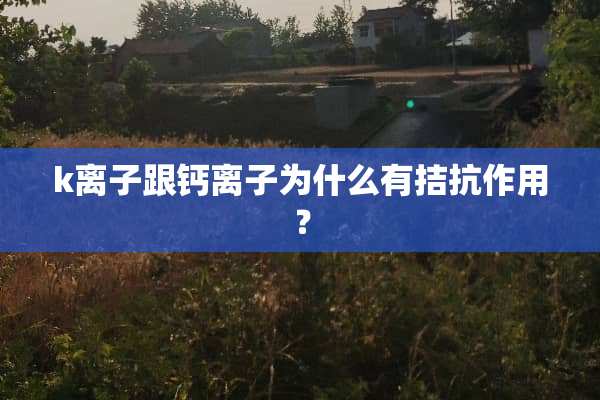 k离子跟钙离子为什么有拮抗作用？
