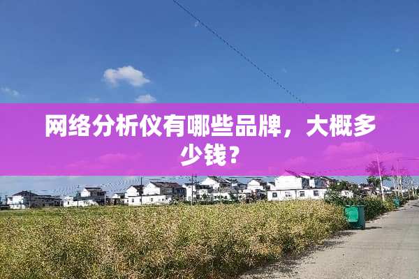 网络分析仪有哪些品牌，大概多少钱？