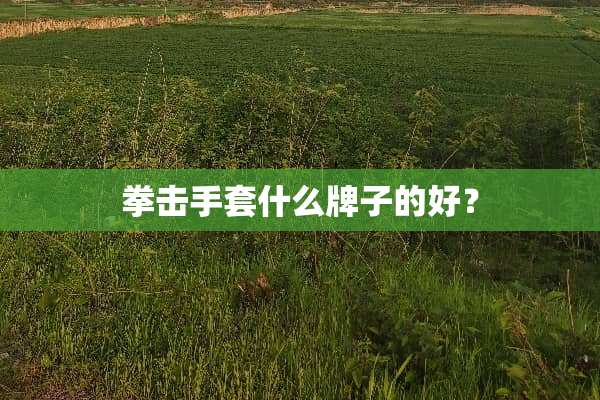 拳击手套什么牌子的好？