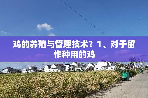鸡的养殖与管理技术？1、对于留作种用的鸡