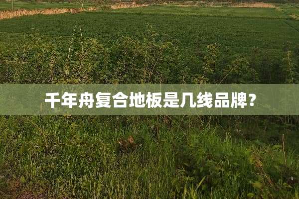 千年舟复合地板是几线品牌？