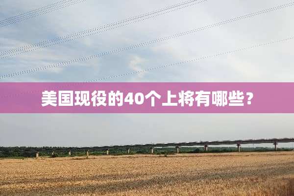 美国现役的40个上将有哪些？