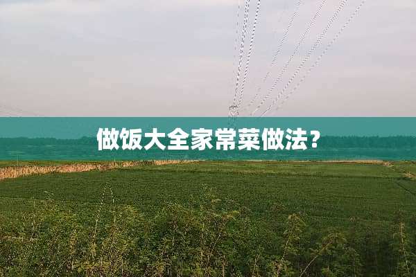 做饭大**常菜做法？