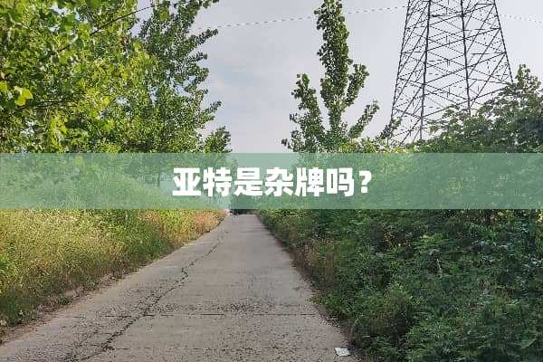 亚特是杂牌吗？