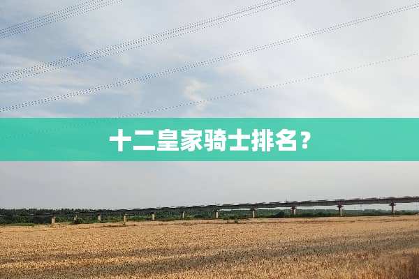 十二皇家骑士排名？