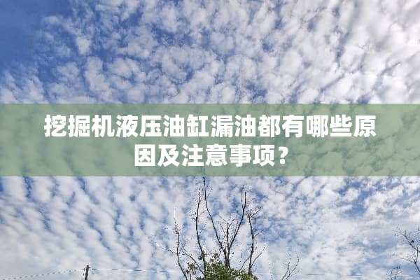 挖掘机液压油缸漏油都有哪些原因及注意事项？