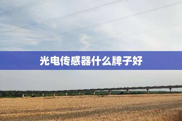 光电传感器什么牌子好