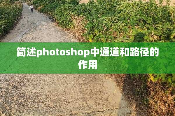 简述photoshop中通道和路径的作用