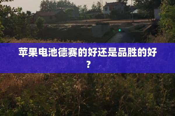 苹果电池德赛的好还是品胜的好？