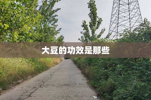 大豆的功效是那些