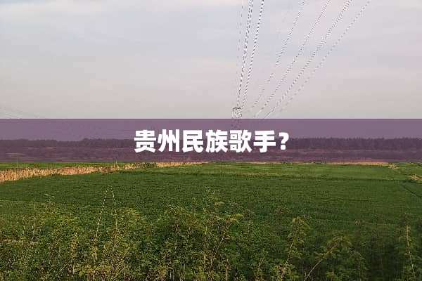 贵州民族歌手？