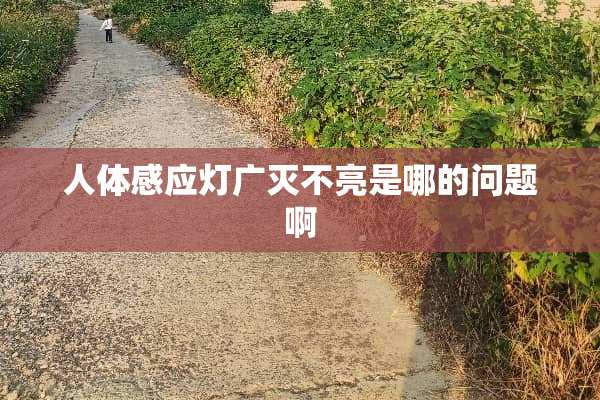 人体感应灯广灭不亮是哪的问题啊