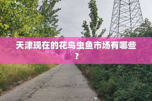 天津现在的花鸟虫鱼市场有哪些？