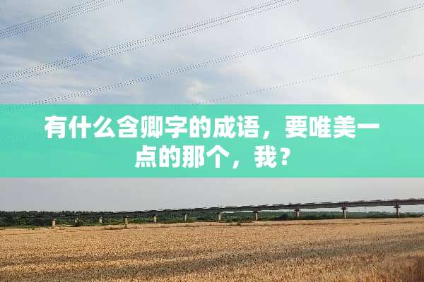 有什么含卿字的成语，要唯美一点的那个，我？