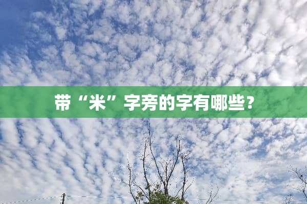 带“米”字旁的字有哪些？