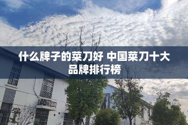 什么牌子的菜刀好 中国菜刀十大品牌排行榜