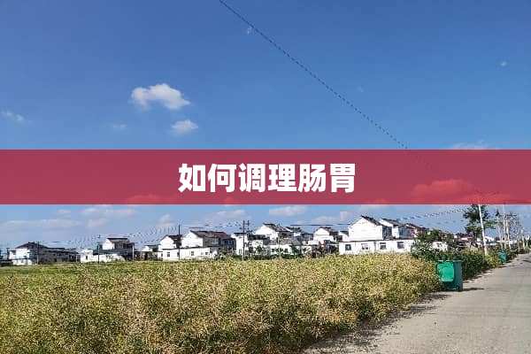 如何调理肠胃