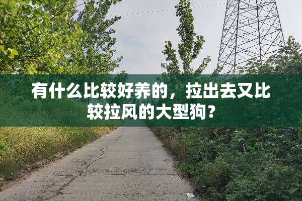 有什么比较好养的，拉出去又比较拉风的大型狗？