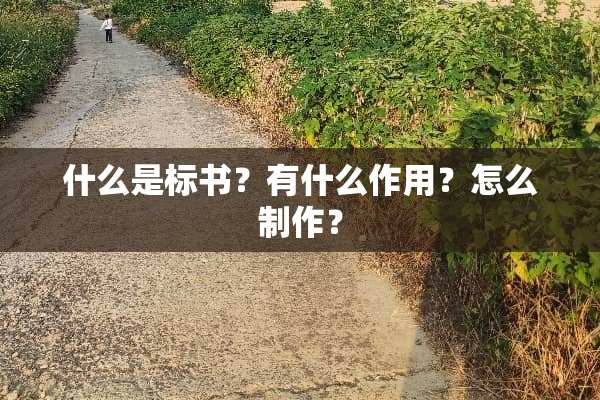 什么是标书？有什么作用？怎么制作？
