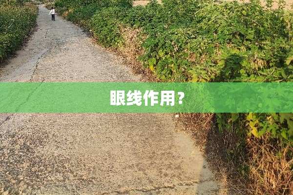 眼线作用？