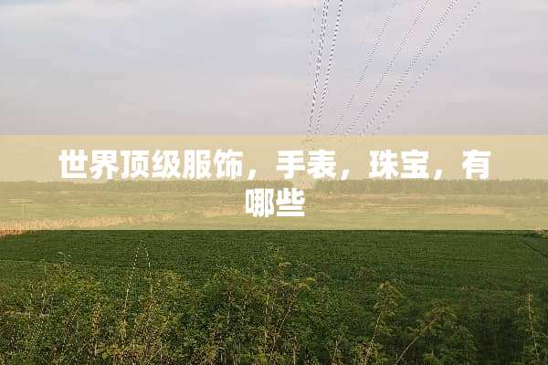 世界**服饰，手表，珠宝，有哪些