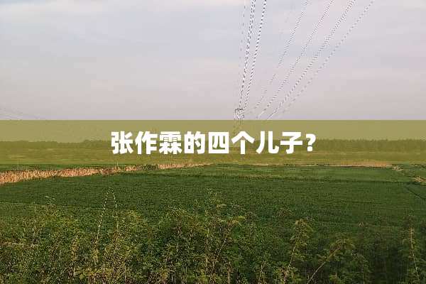 张作霖的四个儿子？