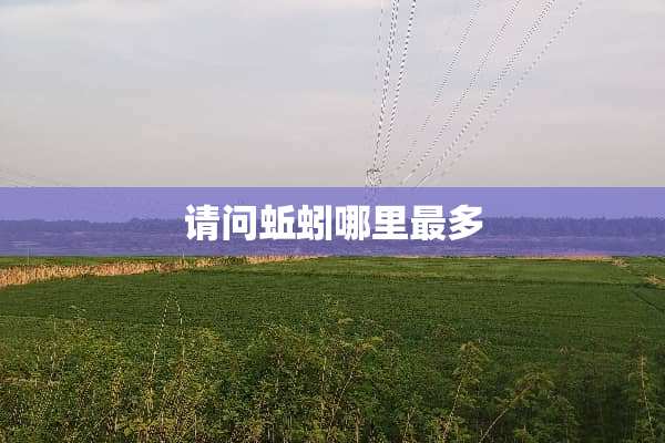 请问蚯蚓哪里最多