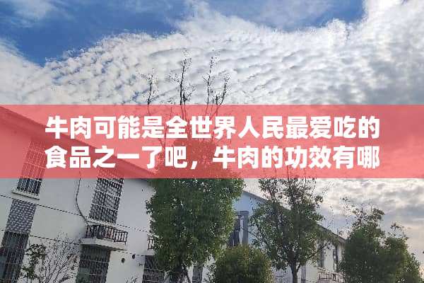 牛肉可能是全世界人民最爱吃的食品之一了吧，牛肉的功效有哪些？