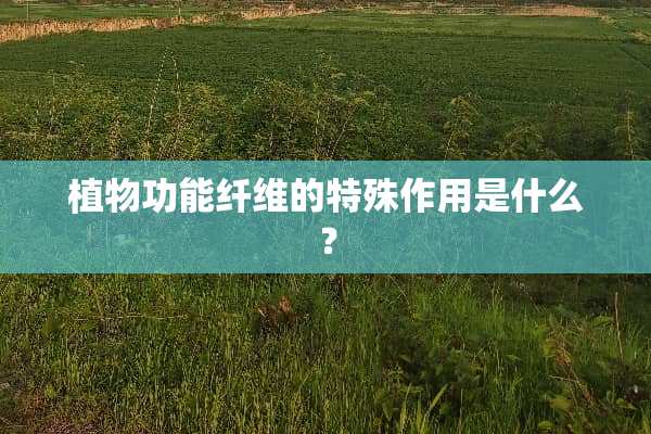 植物功能纤维的特殊作用是什么？