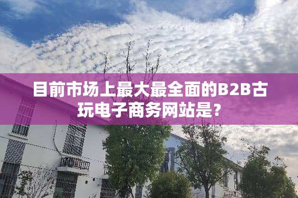 目前市场上最大最全面的B2B古玩电子商务网站是？