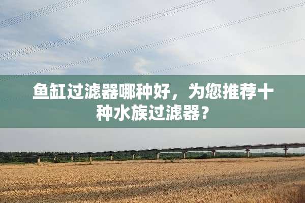 鱼缸过滤器哪种好，为您推荐十种水族过滤器？