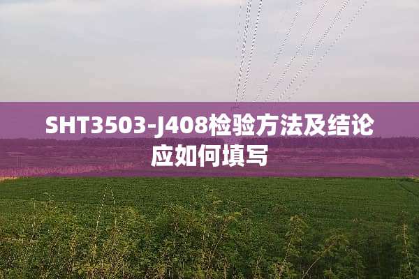 SHT3503-J408检验方法及结论应如何填写