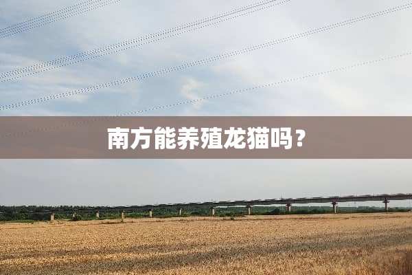 南方能养殖龙猫吗？