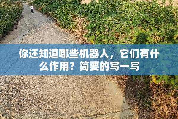 你还知道哪些机器人，它们有什么作用？简要的写一写