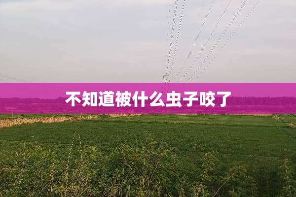 不知道被什么虫子咬了