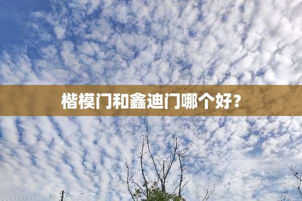 楷模门和鑫迪门哪个好？