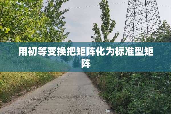 用初等变换把矩阵化为标准型矩阵