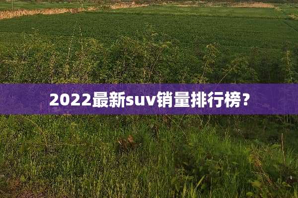 2022最新suv销量排行榜？