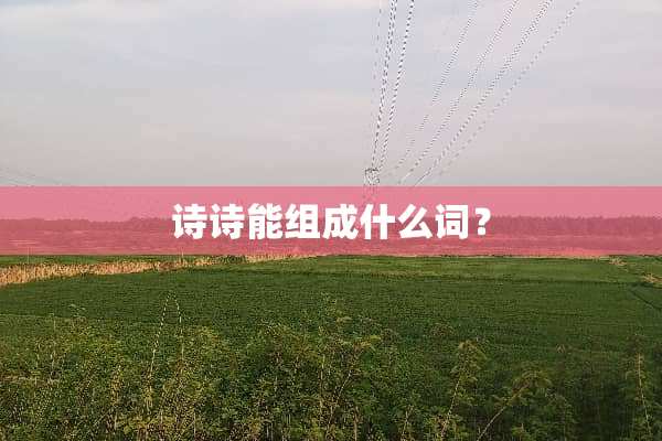 诗诗能组成什么词？