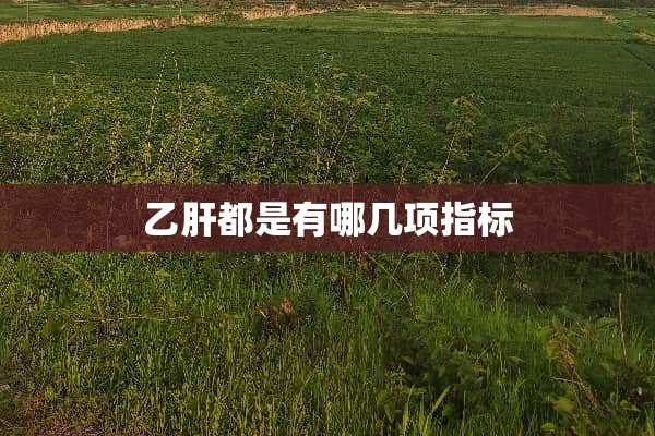 乙肝都是有哪几项指标