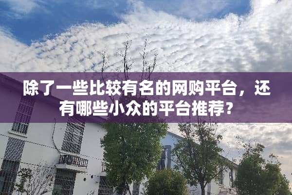 除了一些比较有名的网购平台，还有哪些小众的平台推荐？