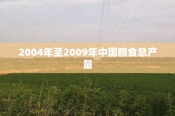 2004年至2009年中国粮食总产量