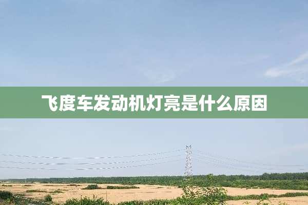 飞度车发动机灯亮是什么原因