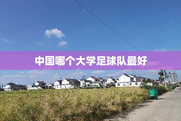 中国哪个大学**队最好