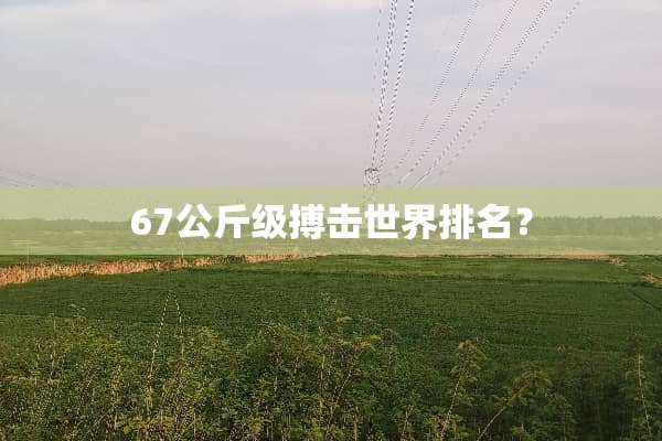 67公斤级搏击世界排名？