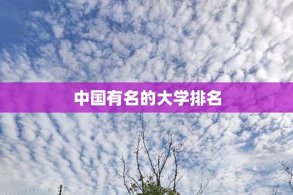 中国有名的大学排名