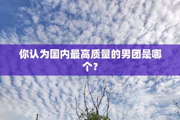 你认为国内最高质量的男团是哪个？