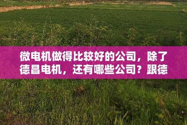 微电机做得比较好的公司，除了德昌电机，还有哪些公司？跟德昌差不多规模