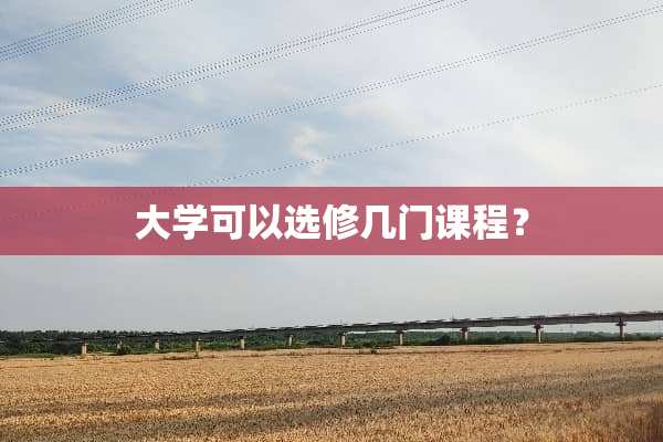 大学可以选修几门课程？