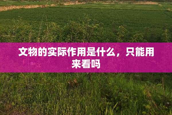 文物的实际作用是什么，只能用来看吗